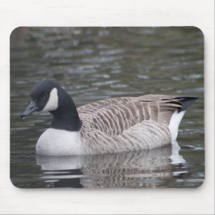 Canada Goose Mouse Mat
