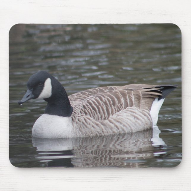 Canada Goose Mouse Mat (Front)