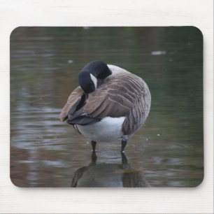 Canada Goose Mouse Mat