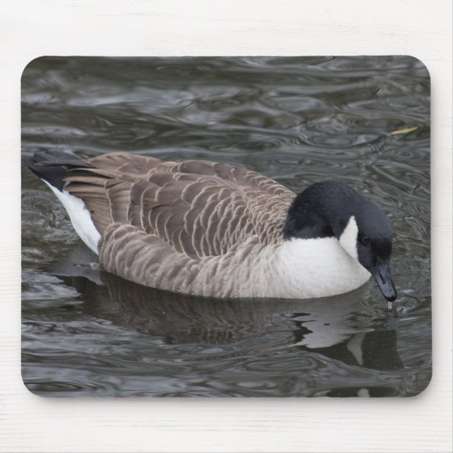 Canada Goose Mouse Mat (Front)