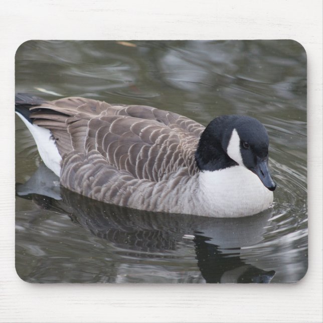 Canada Goose Mouse Mat (Front)