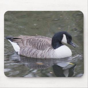 Canada Goose Mouse Mat