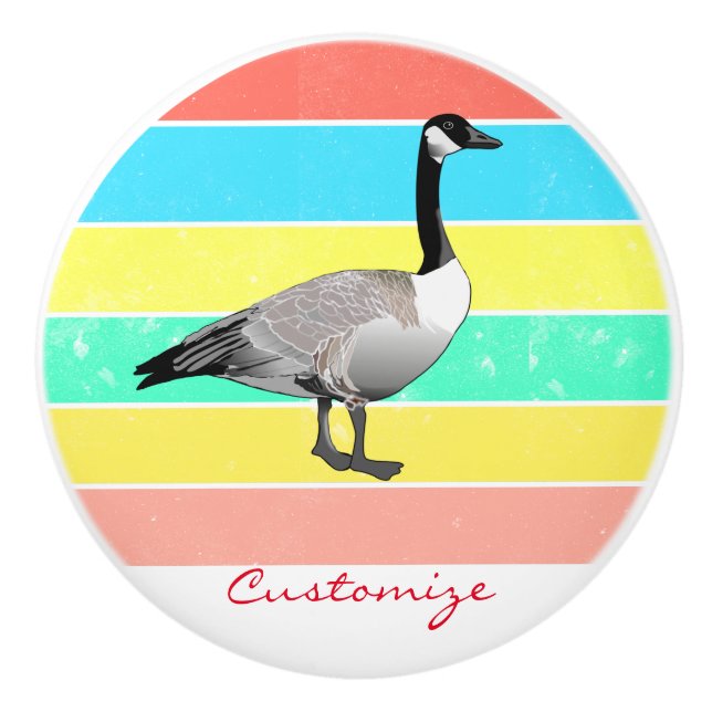 Canada Goose Multi-color Sun Thunder_Cove Ceramic Knob (Front)