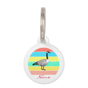Canada Goose Multi-colour Sun Thunder_Cove Pet Tag
