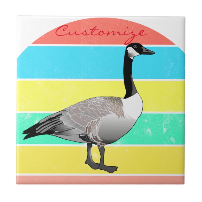 Canada Goose Multi-colour Sun Thunder_Cove Tile (Front)