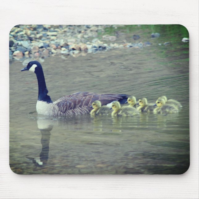 Canada Goose Mum Babies Nature  Mouse Mat (Front)