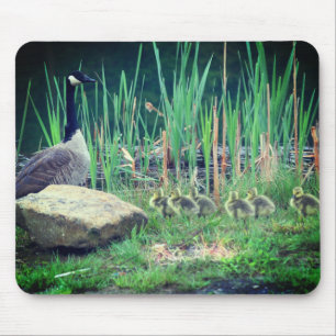 Canada Goose Mum Babies Nature Mouse Mat