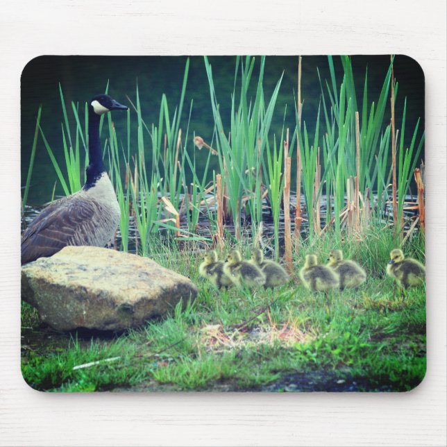 Canada Goose Mum Babies Nature Mouse Mat (Front)