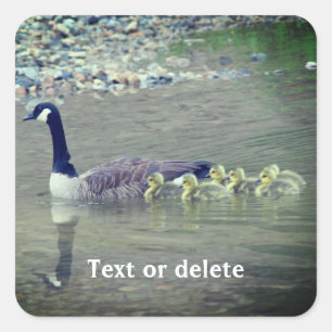Canada Goose Mum Babies Nature Personalised Square Sticker