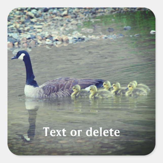 Canada Goose Mum Babies Nature Personalised Square Sticker (Front)