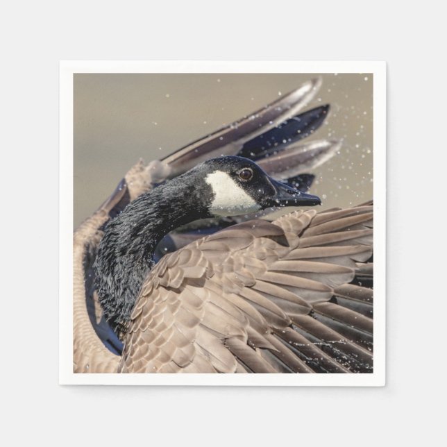 Canada Goose Napkin (Front)