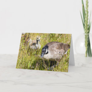Canada Goose Note  Card