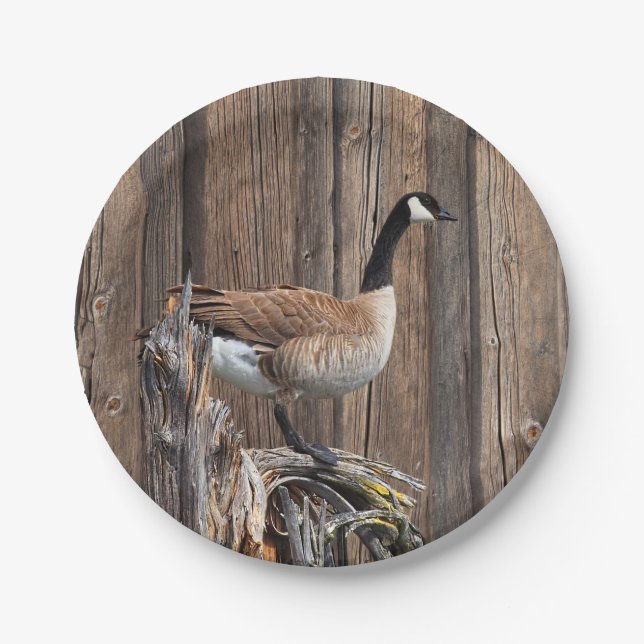 CANADA GOOSE ON BARN BOARD PAPER PLATE (Front)