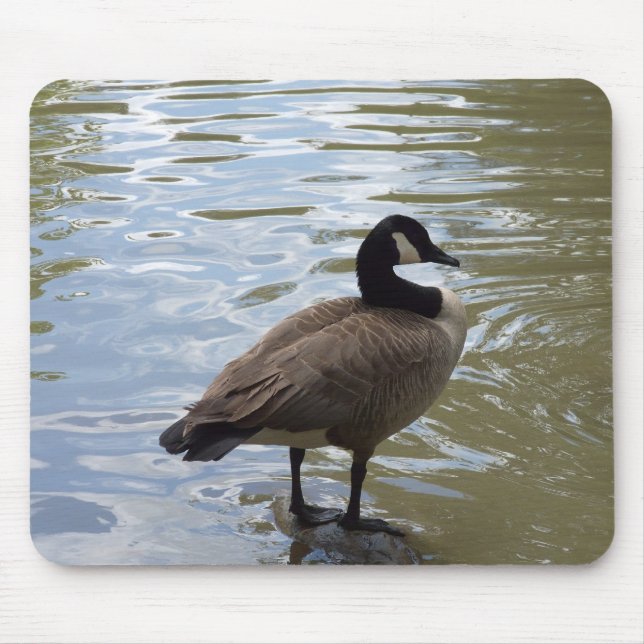 Canada Goose On Rock Mouse Mat (Front)