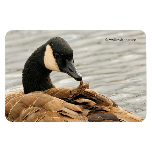 Canada Goose on the Lake Magnet (Horizontal)