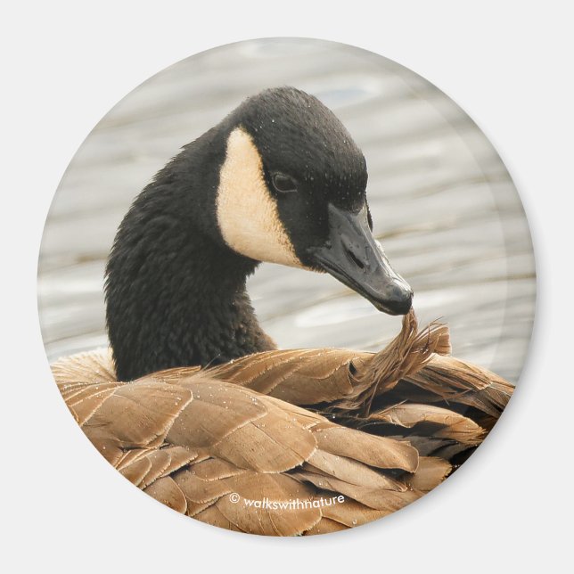 Canada Goose on the Lake Magnet (Front)