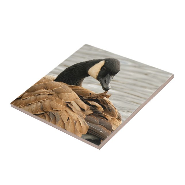 Canada Goose on the Lake Tile (Side)