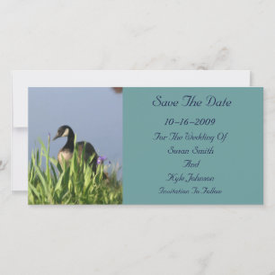 Canada Goose Painting Wedding Save The Date