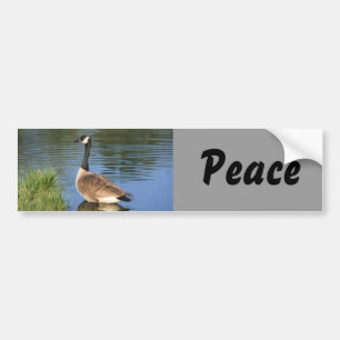 Canada Goose Peace Bumper Sticker