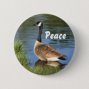 Canada Goose Peace Inspirational Button