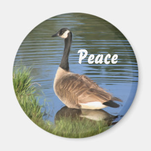 Canada Goose Peace Inspirational Magnet
