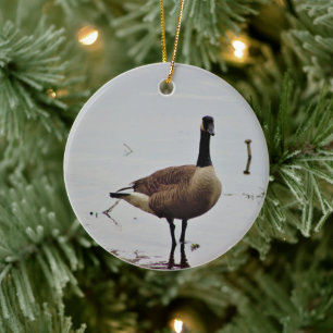 Canada Goose Photo Ceramic Tree Decoration