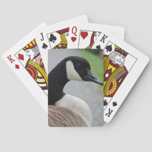 Canada goose playing cards