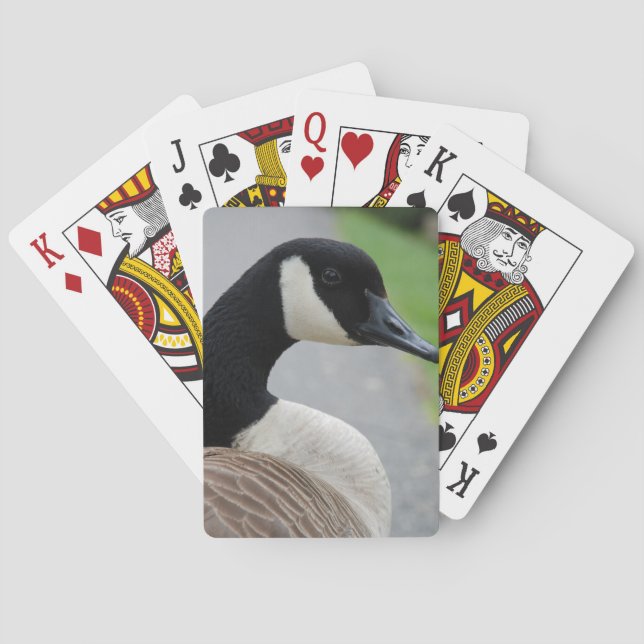 Canada goose playing cards (Back)