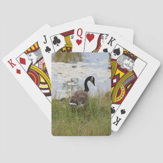 Canada Goose Playing Cards
