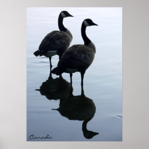 Canada Goose Poster Custom Canada Souvenir Poster