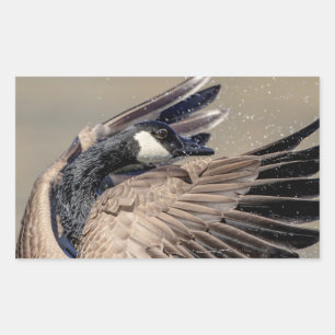 Canada Goose Rectangular Sticker