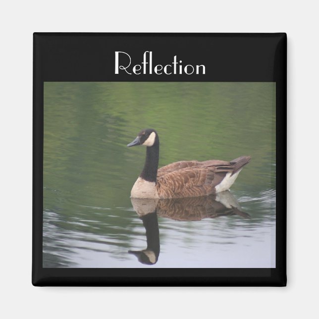 Canada Goose Reflection Inspirational Magnet (Front)