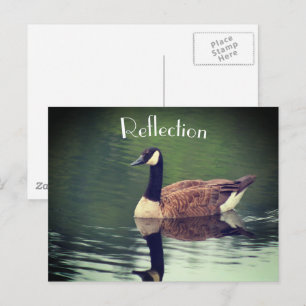 Canada Goose Reflections Inspirational  Postcard