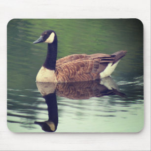 Canada Goose Reflections Nature  Mouse Mat