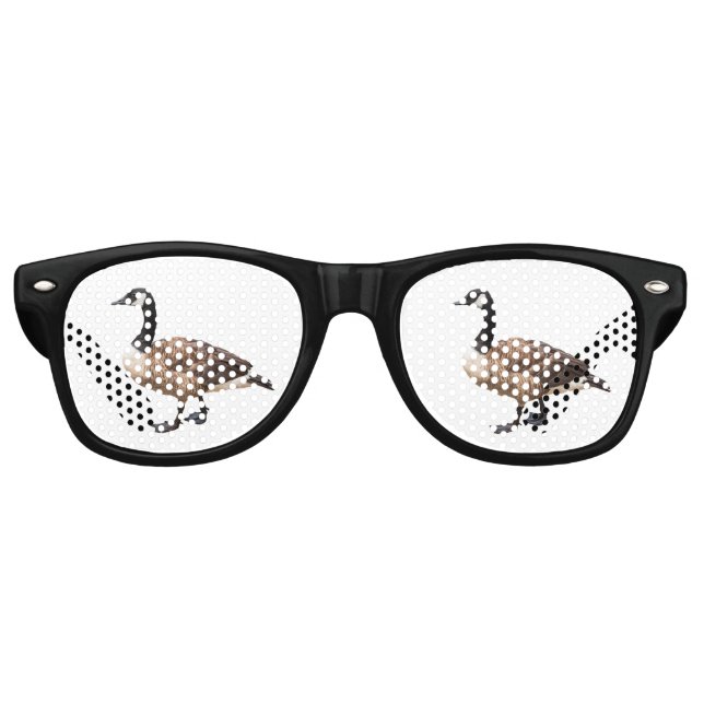 Canada Goose Retro Sunglasses (Front)