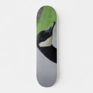 Canada goose skateboard