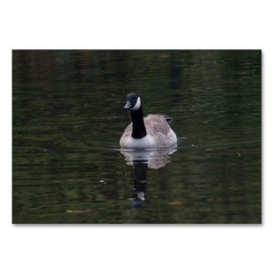 Canada Goose Table Number