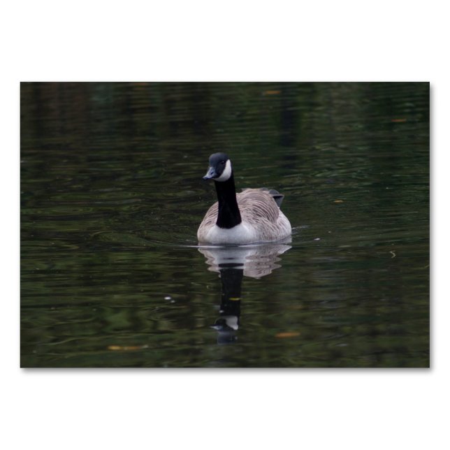 Canada Goose Table Number (Front)
