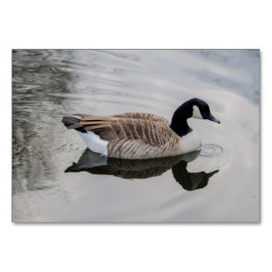 Canada Goose Table Number