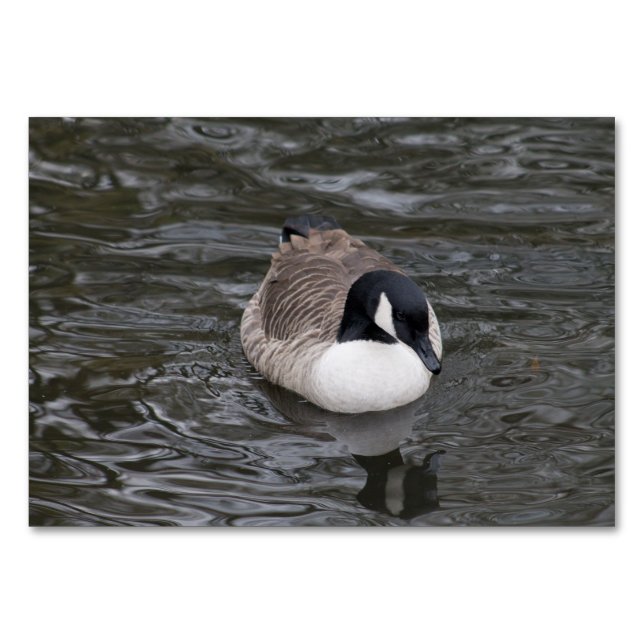 Canada Goose Table Number (Front)