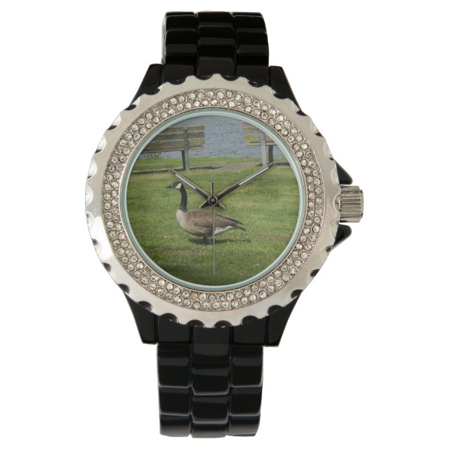 Canada Goose Watch (Front)
