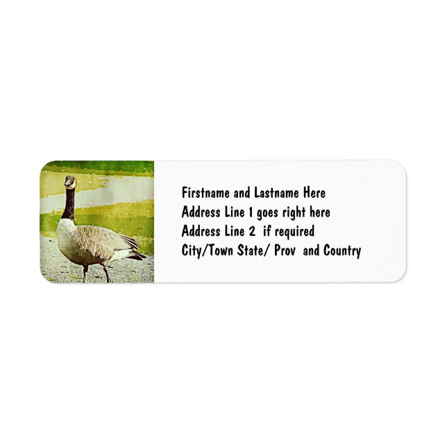 Canada Goose - Watercolor Painted Effect (Front)