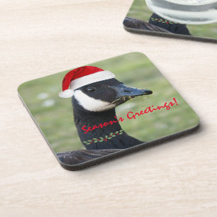 Canada Goose Wearing Red Santa Hat Holiday Coaster