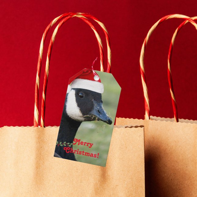 Canada Goose Wearing Santa Hat Holiday Gift Tags (In Situ)