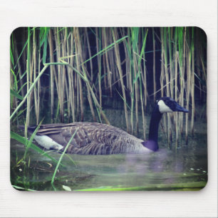 Canada Goose Wildlife Nature  Mouse Mat