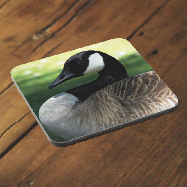 Canada Goose Wildlife Photo Coaster (In Situ Angled)
