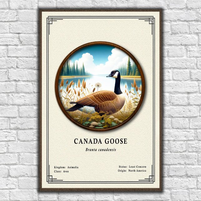 Canada Goose Zoology Series Poster (Creator Uploaded)