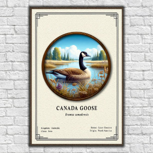 Canada Goose Zoology Series Poster