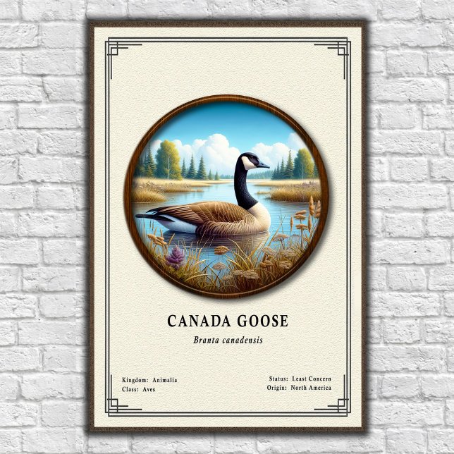 Canada Goose Zoology Series Poster (Creator Uploaded)