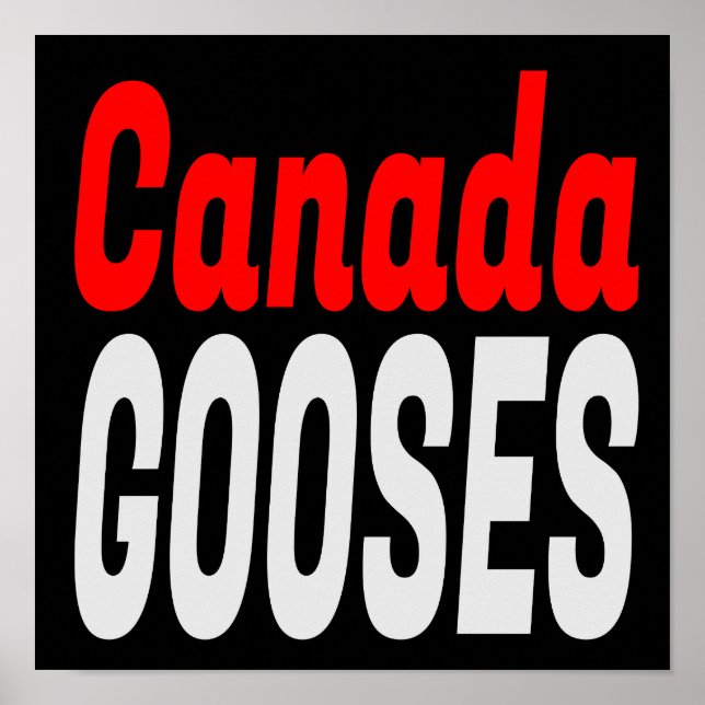 Canada Gooses LetterKenny Funny Novelty Poster (Front)